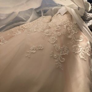 Vintage rose Beaded lace and tulle ball gown!